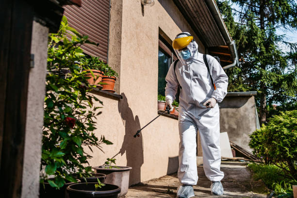 Best Termite Control Services  in Highland Park, TX