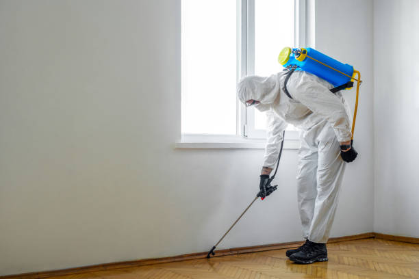 Best Commercial Pest Control Services  in Highland Park, TX