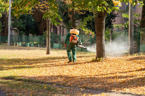 Best Pest Removal Services  in Highland Park, TX